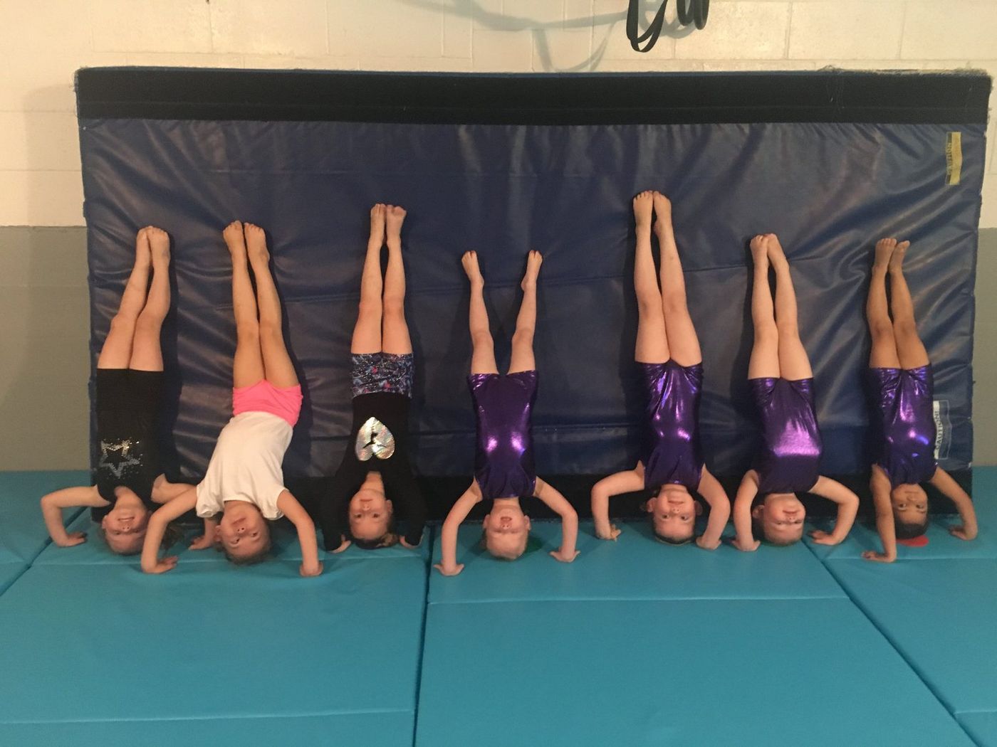 A row of young gymnasts holding handstands against a wall mat.